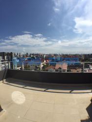 The Vesta (D15), Apartment #82436452